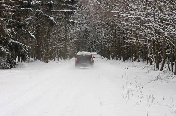 Car on road in forest in winter — Stock Photo, Image