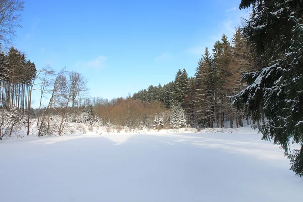 Lago congelato nella foresta — Foto Stock