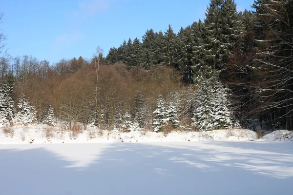 Frozen lake in forest in winter — Stock Photo, Image