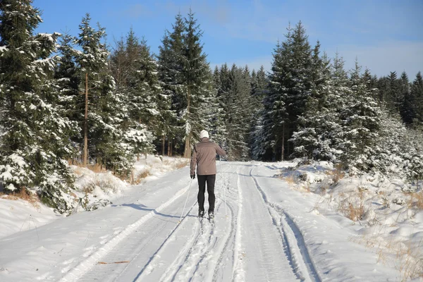 Uomo in pista da sci nella foresta — Foto Stock