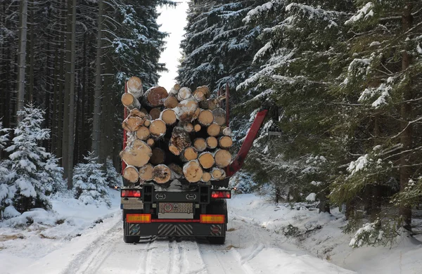 Caminhão com log na estrada na floresta no inverno — Fotografia de Stock