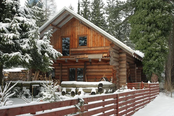 Houten hut in het bos in de winter — Stockfoto