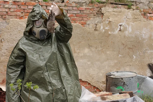 Homme avec masque à gaz et vêtements militaires verts explore oiseau mort après une catastrophe chimique . — Photo