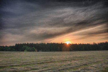Yaz sabahı, çayır ile kesilmiş çimen, zamanında gündoğumu orman bir