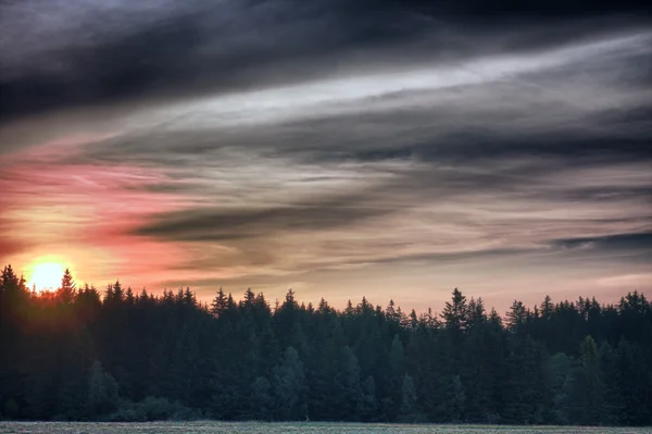 Sunrise tijd in zomerochtend, weide en bos en kleur sk — Stockfoto