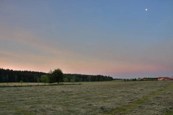 Yaz sabahı, çayır ile kesilmiş çimen, zamanında gündoğumu orman bir — Stok fotoğraf