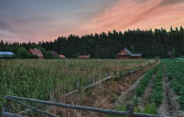 Луг і картопляне поле, у фоновому дерев'яному зрубі кабіни і коло — стокове фото
