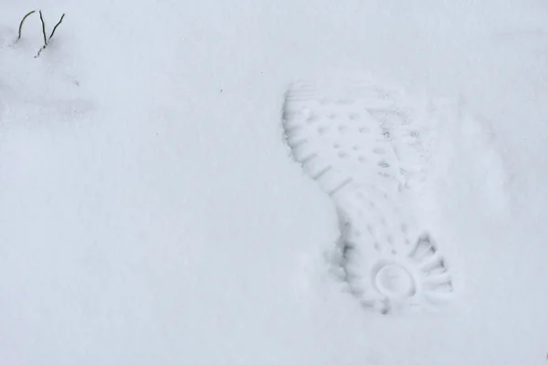 Track shoe of man in the snow