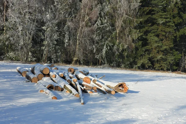 Mucchio di legno sulla foresta bordo coperto di neve — Foto Stock