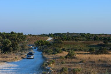Doğa rezervi Kamenjak aracılığıyla çakıl yolu
