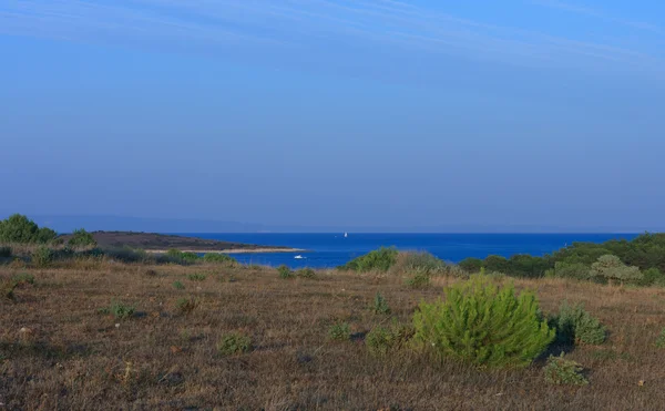 Nationaal Park Kamenjak in Kroatië — Stockfoto