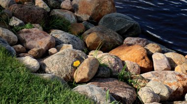 Kayalar ve çiçekler, doğal arka plan için bulanık ve yumuşak bir manzara.