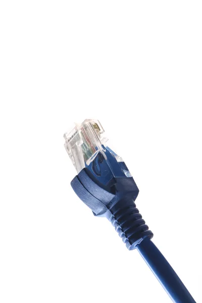 Câble réseau sur blanc — Photo