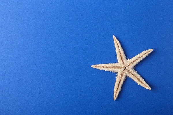 Starfish com fundo azul — Fotografia de Stock