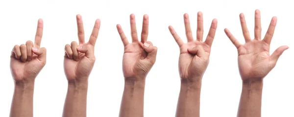 One to five fingers count hand gesture isolated — Stock Photo, Image