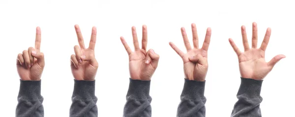 Ein bis fünf Finger zählen Hand-Geste isoliert — Stockfoto