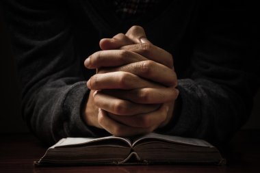 Praying Hands With Bible
