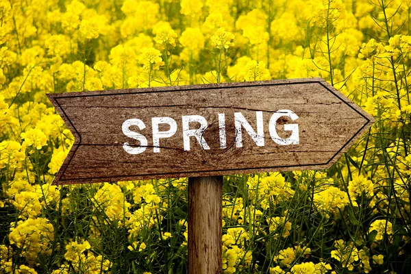 Sinal da primavera — Fotografia de Stock