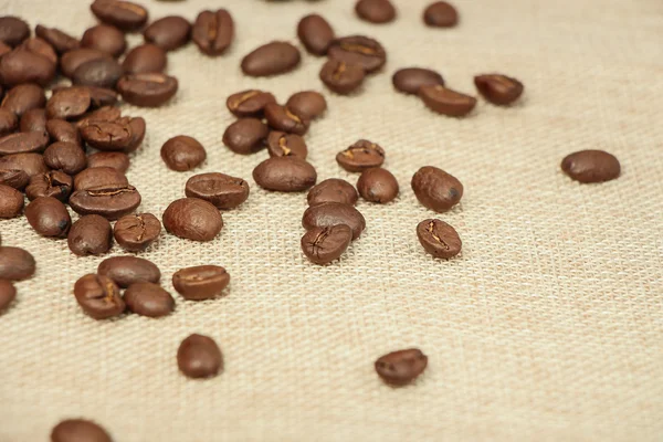 Coffee bean — Stock Photo, Image