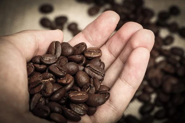 Grão de café na mão — Fotografia de Stock