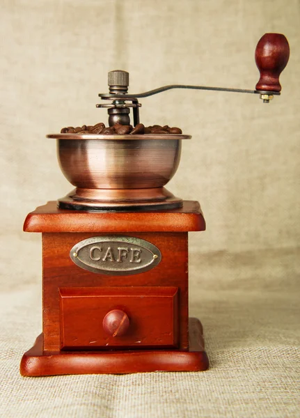 Coffee bean and coffee bean grinder Stock Image