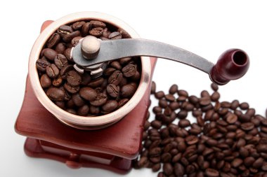 Taze kahve çekirdeği ve kahve öğütücü