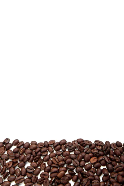 Listra de grãos de café isolado no fundo branco — Fotografia de Stock