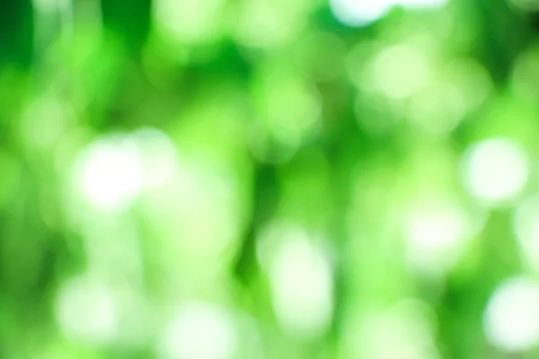 Natural green blurred background — Stock Photo, Image