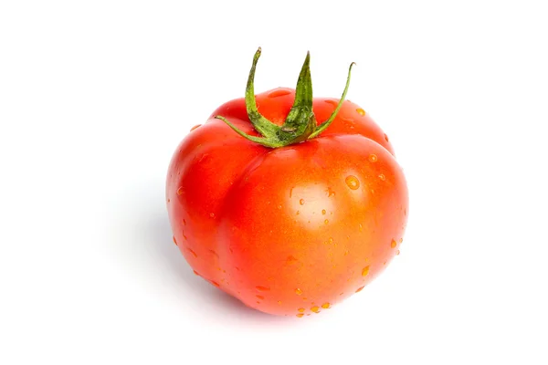 Tomato — Stock Photo, Image