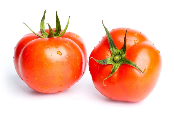 Tomates — Fotografia de Stock