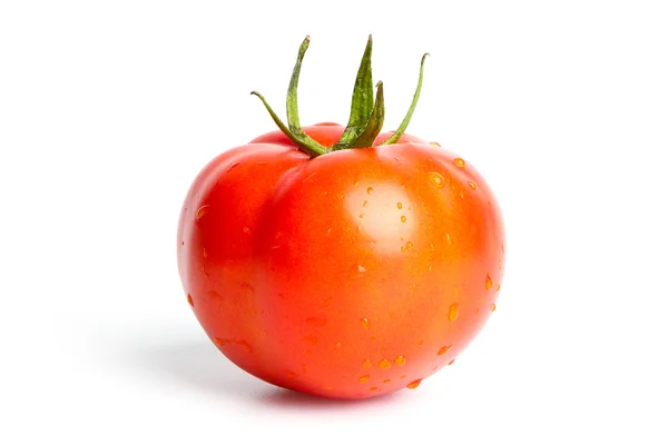 Tomate — Foto de Stock