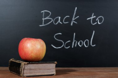 Okul konseptine dönüş