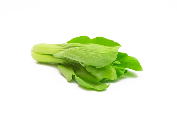 Råa ekologiska Baby Bok Choi — Stockfoto