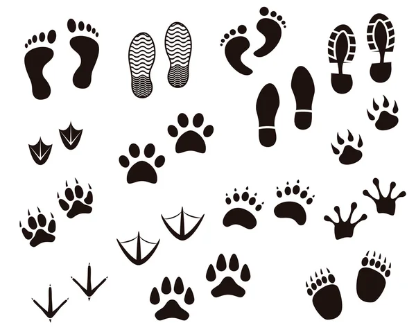Many kind of footprint — Stock Vector