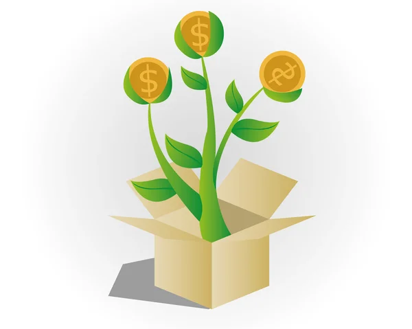 para ağacını kutusundan