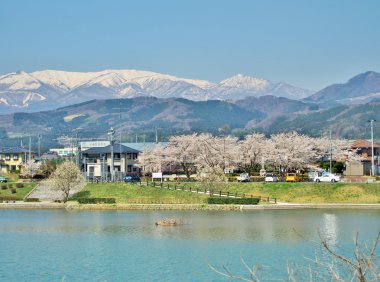 kiraz çiçekleri ve dağ: Miyagi, Japan.