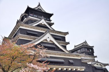 Kumamoto Castle, Japonya.