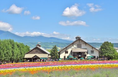 Gökkuşağı çiçek alan Tomita çiftlik, Hokkaido, Japonya.