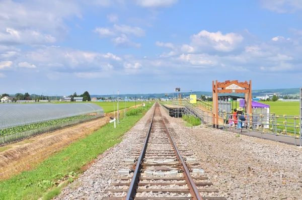Lawenda stacji farm w Hokkaido, Japonia. — Zdjęcie stockowe