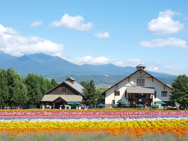 Malé domy na farmě Tomita v Furano, Hokkaido, Japonsko. Stock Fotografie