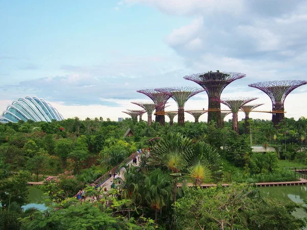 Gardens by the Bay — Stock Photo, Image