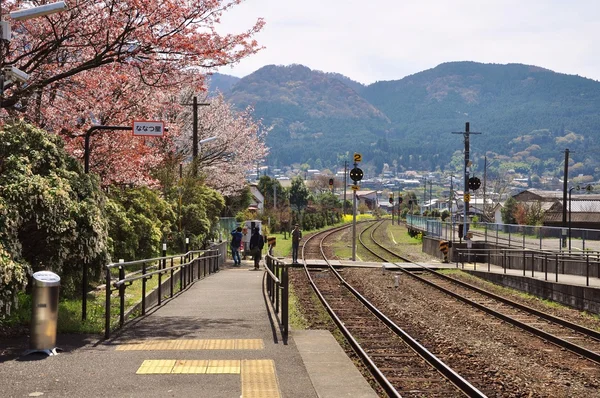 Ferrocarril en la estación de tren de Yufuin con flor de cerezo (sakura) y fondo de montaña . — Foto de Stock