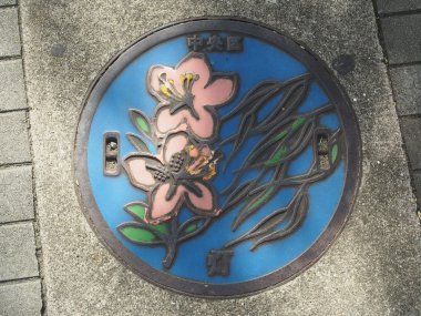 Kanalizasyon kapağı: Tokyo, Japan.