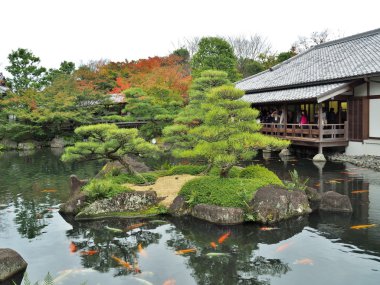 Koko-tr bahçede Himeji, Hyōgo Prefecture, Japonya.