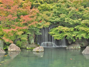 Koko-tr bahçede Himeji, Hyōgo Prefecture, Japonya.