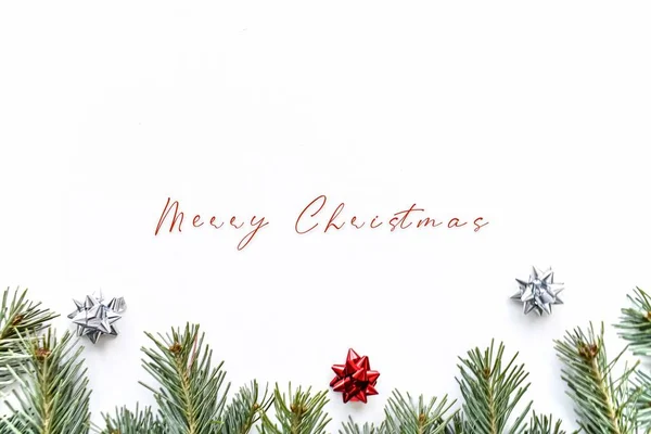 Christmas Background Spruce Branches Text White Background — 스톡 사진