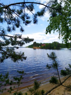 Nehrin ötesindeki ve dalın etrafındaki uzak kıyıya.