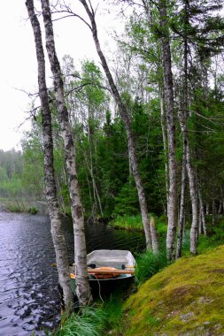 Kıyıdaki gölde bir tekne