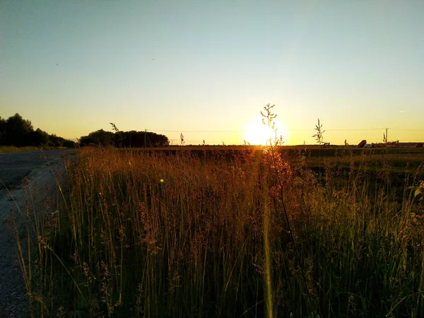 Sonnenuntergang Auf Einem Russischen Feld Lichtstrahl Ein Stacheldraht — Stockfoto