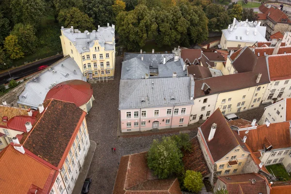 Takåsarna i gamla stan i Tallinn — Stockfoto
